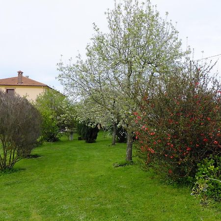 Posada La Pedriza Pontones (Cantabria) Exterior foto